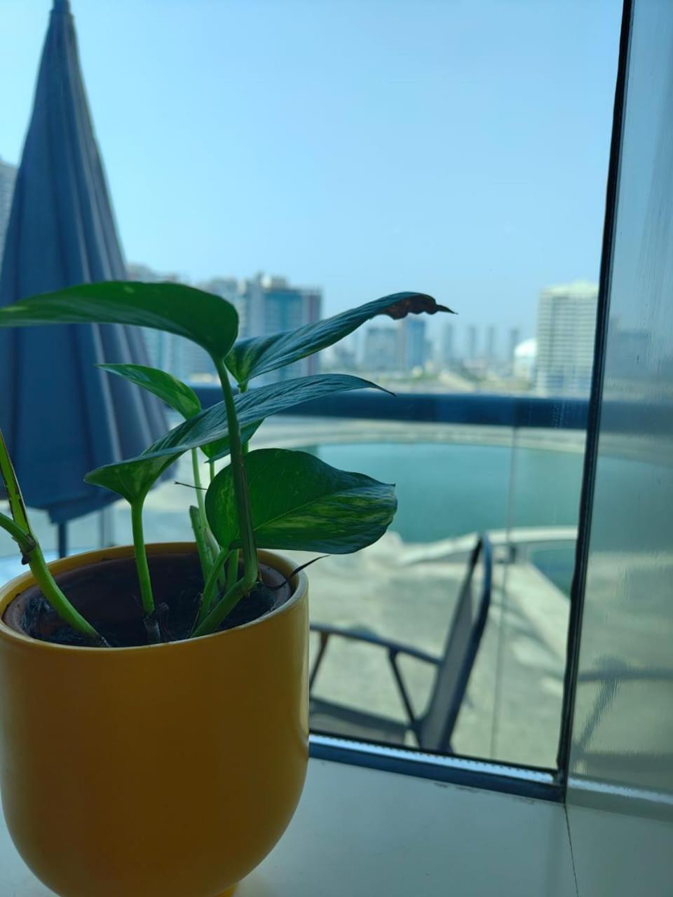 Studio In The Heart Of Sports City -Great View & Amenities! Dubai Eksteriør billede
